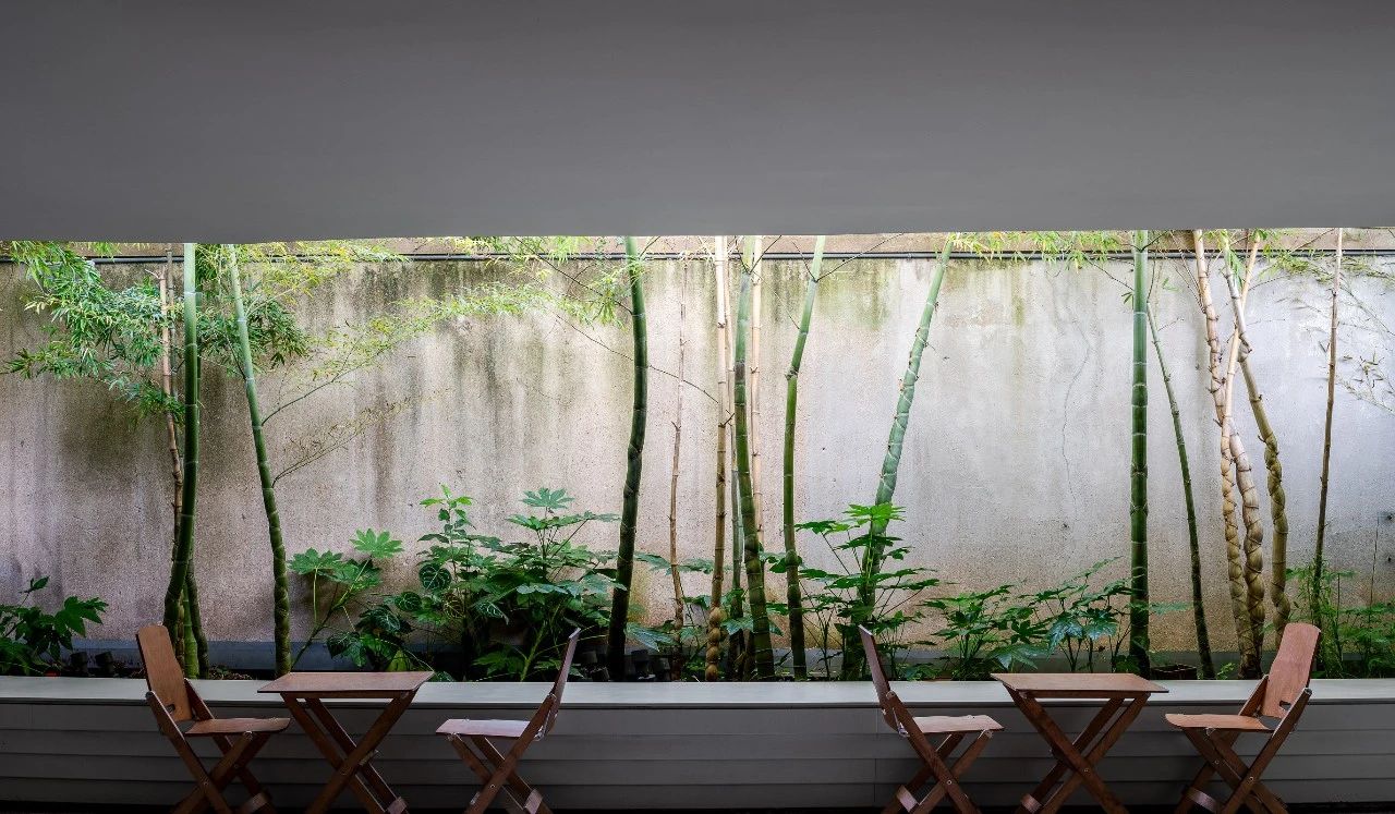 花园餐厅和胡麻小酒馆丨中国上海丨TomYu Studio-19