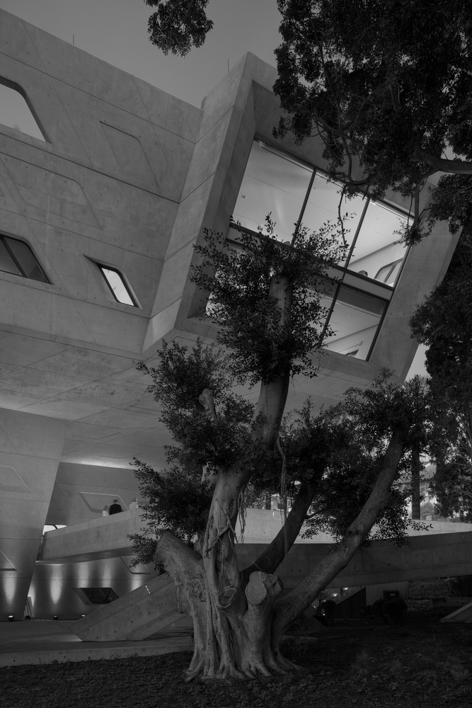 Issam Fares Institute – American University of Beirut  Zaha Hadid Architects-64