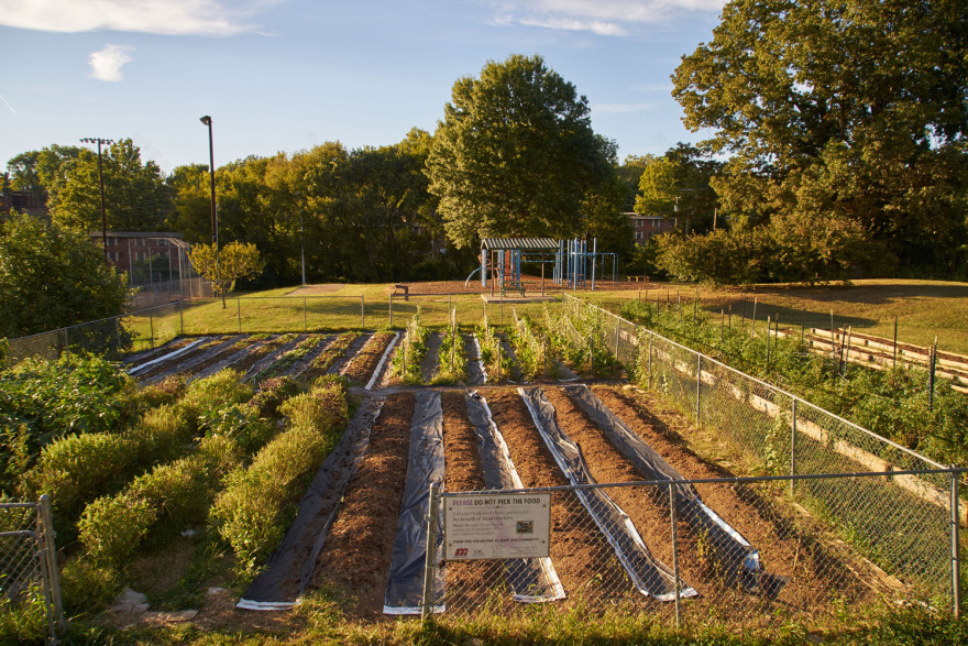 Education Center Elizabeth Eason Architecture LLC + UT College of Architecture and Design-30