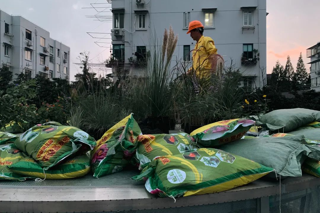 土地先喻 · 宝特瓶里的生态艺术空间丨中国上海丨刘宇扬建筑事务所-60