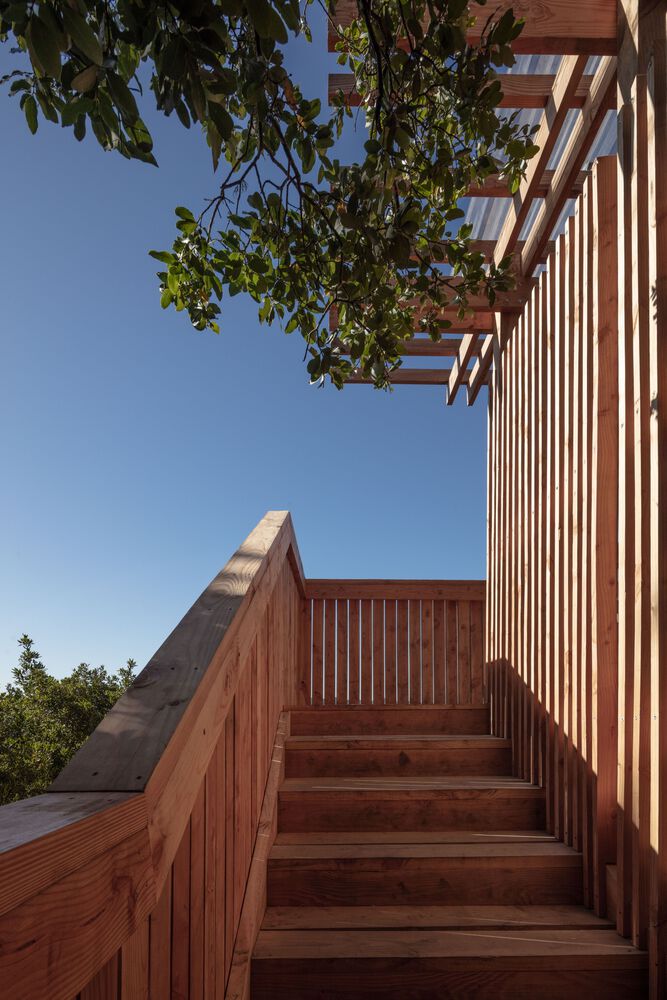 奇洛山丘丨智利丨Jaime Inostroza-31