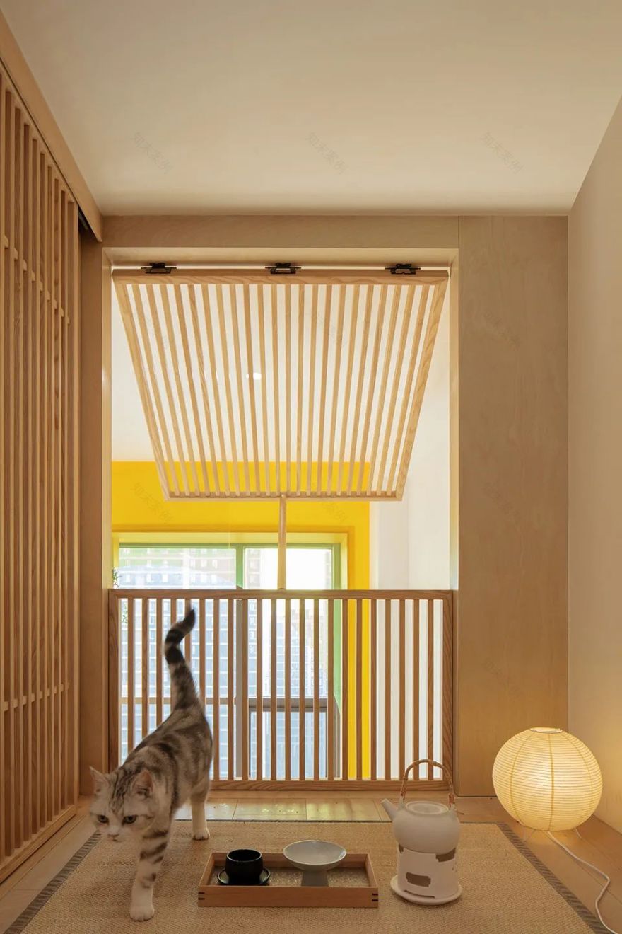 “猫的月下园游会”女孩与六只猫的家丨中国北京丨介介工作室-67