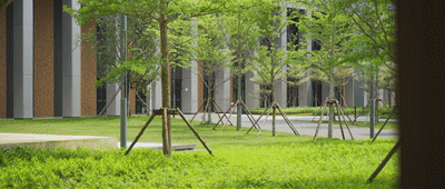 海口哈罗学校丨中国海口丨SED新西林景观国际深圳总部-45