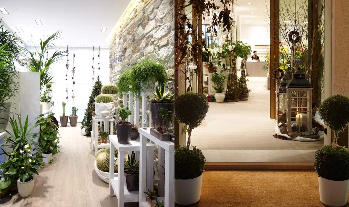 意大利 Zubini 花店,绿色建筑与家居美学的融合-24