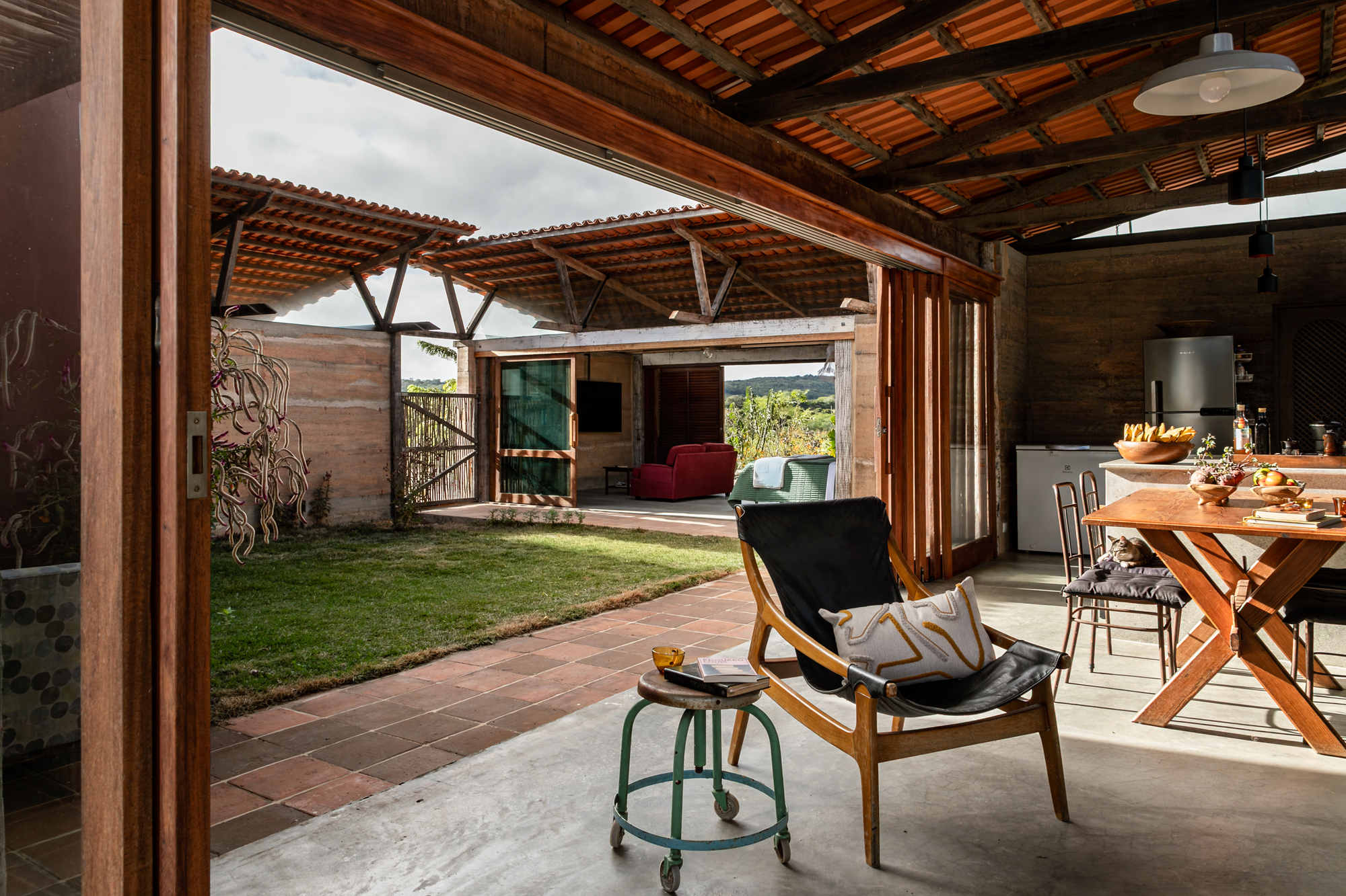 丨巴西伯南布哥丨AzulPitanga-45