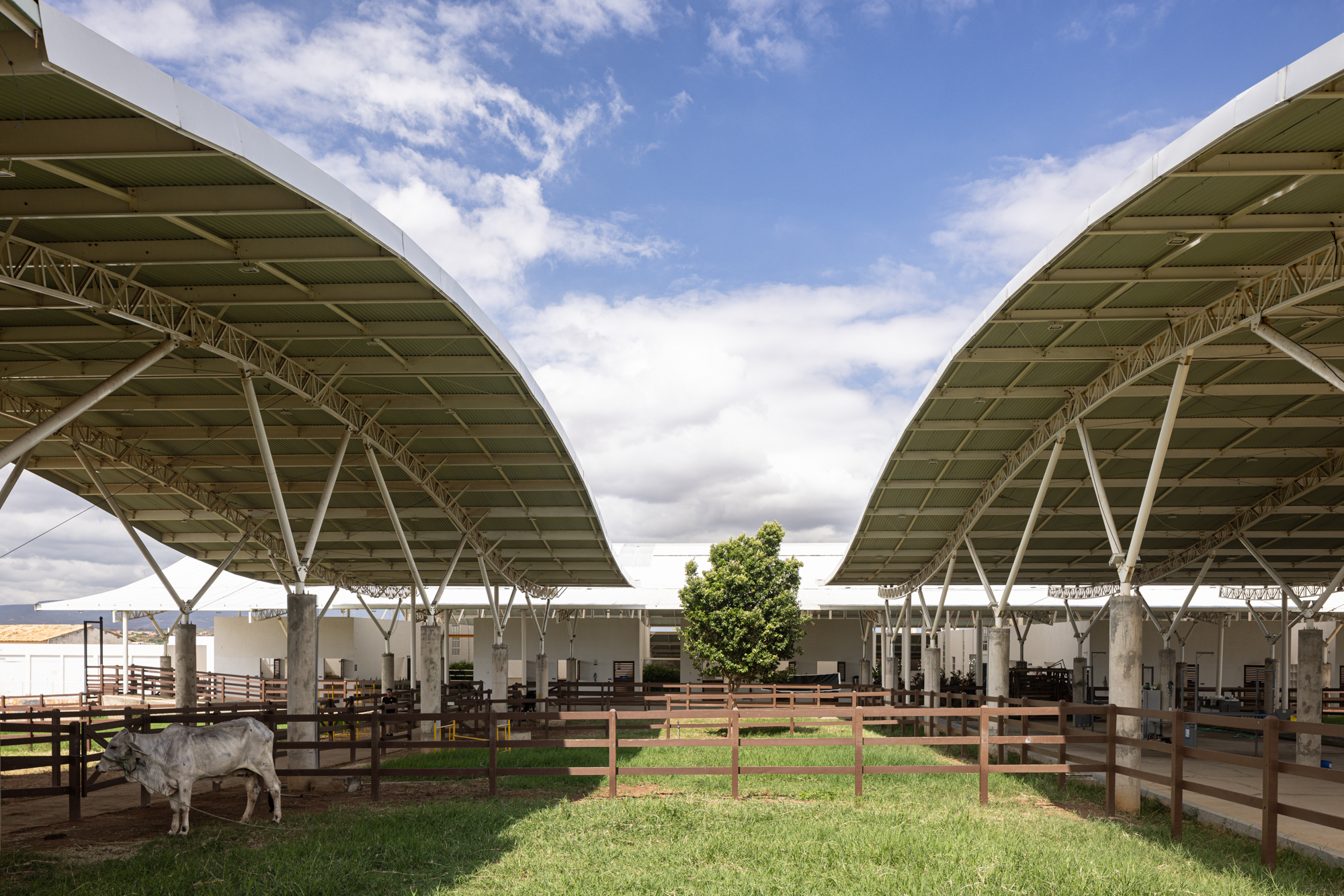 Unileão 兽医学院医院丨巴西丨Lins Arquitetos Associados-42