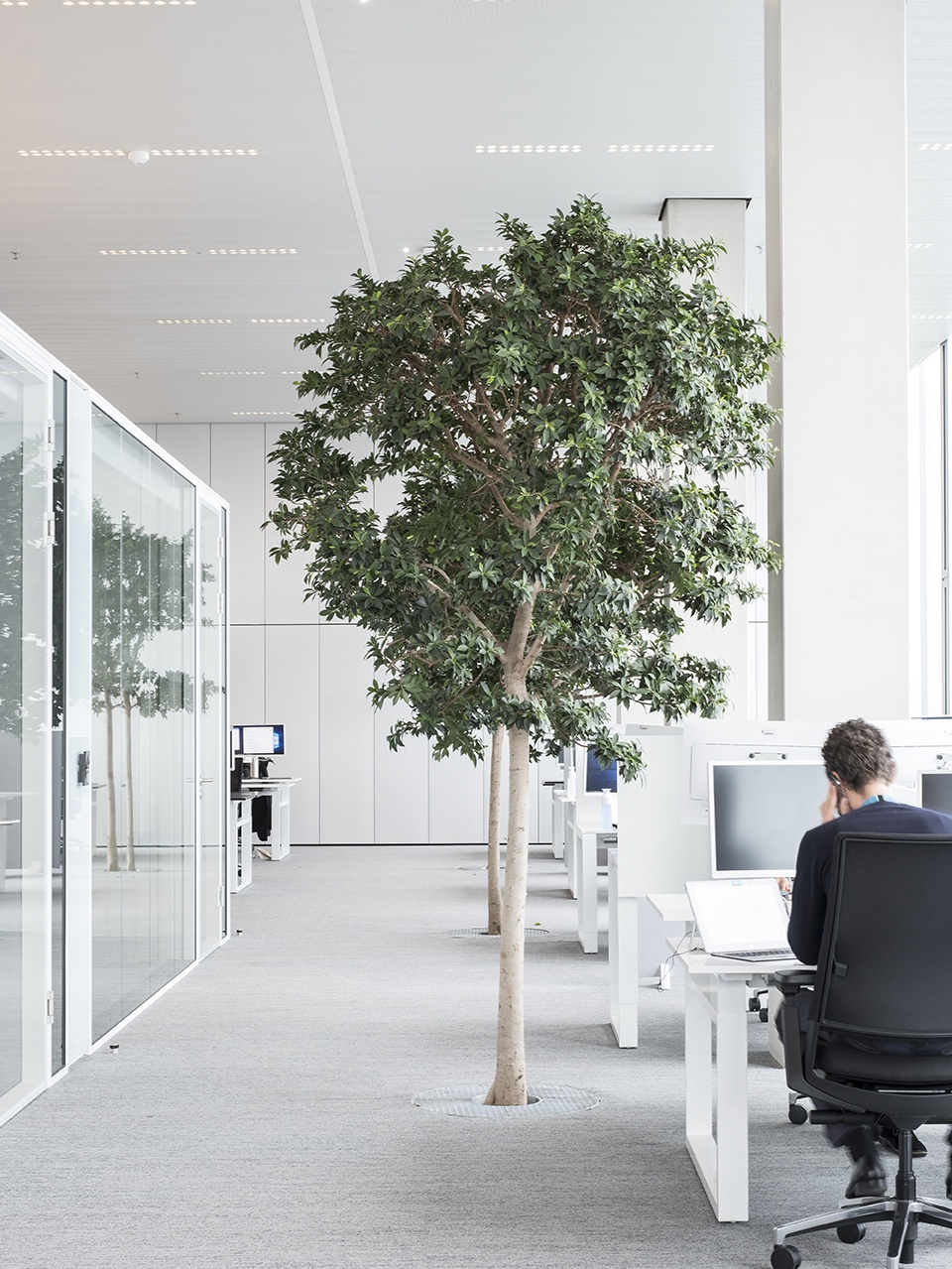 海牙政府办公大楼 Rijnstraat 8 号翻新，可持续发展新典范-59