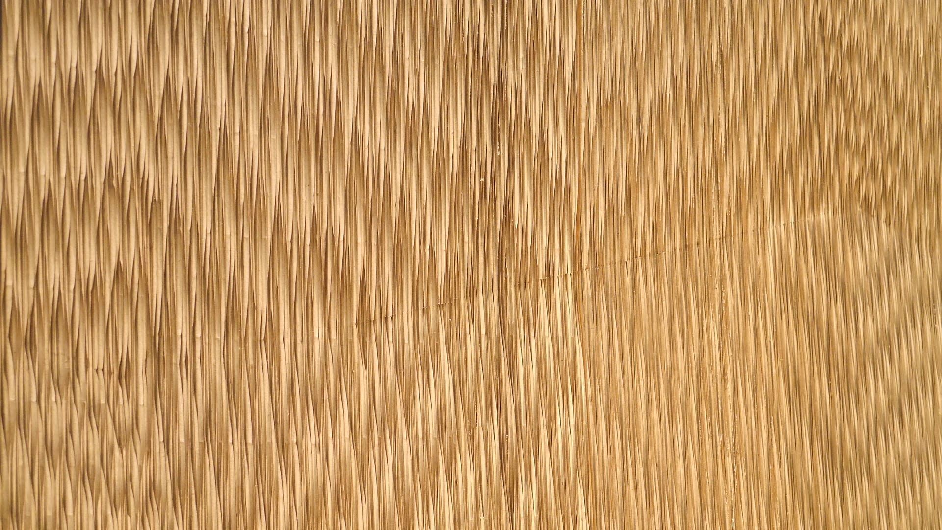 ENCODE伦敦设计展平行木墙覆层系统展示丨英国伦敦-5