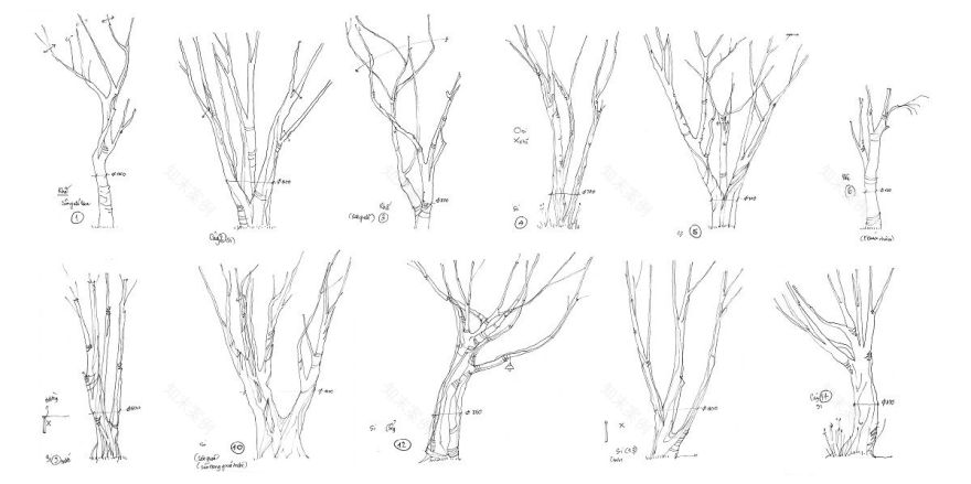 绿意盎然,Binh Duong 别墅的环保设计-22