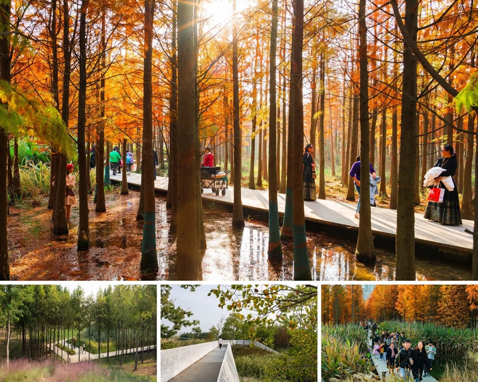 漂浮的森林:南昌市鱼尾洲公园丨中国南昌丨土人设计-43