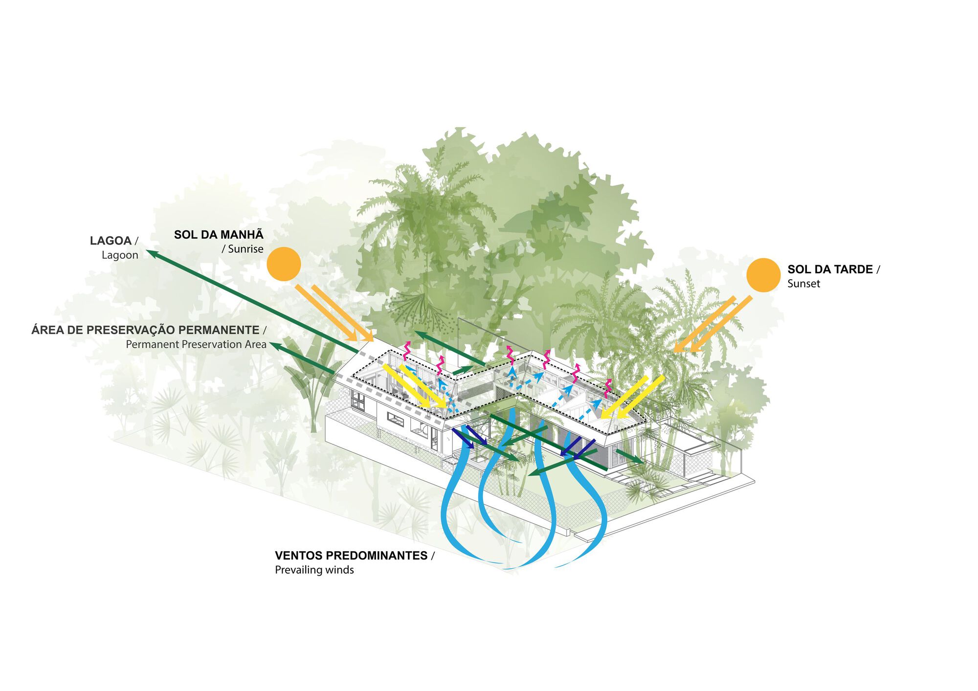 丨巴西丨Laurent Troost Architectures-22