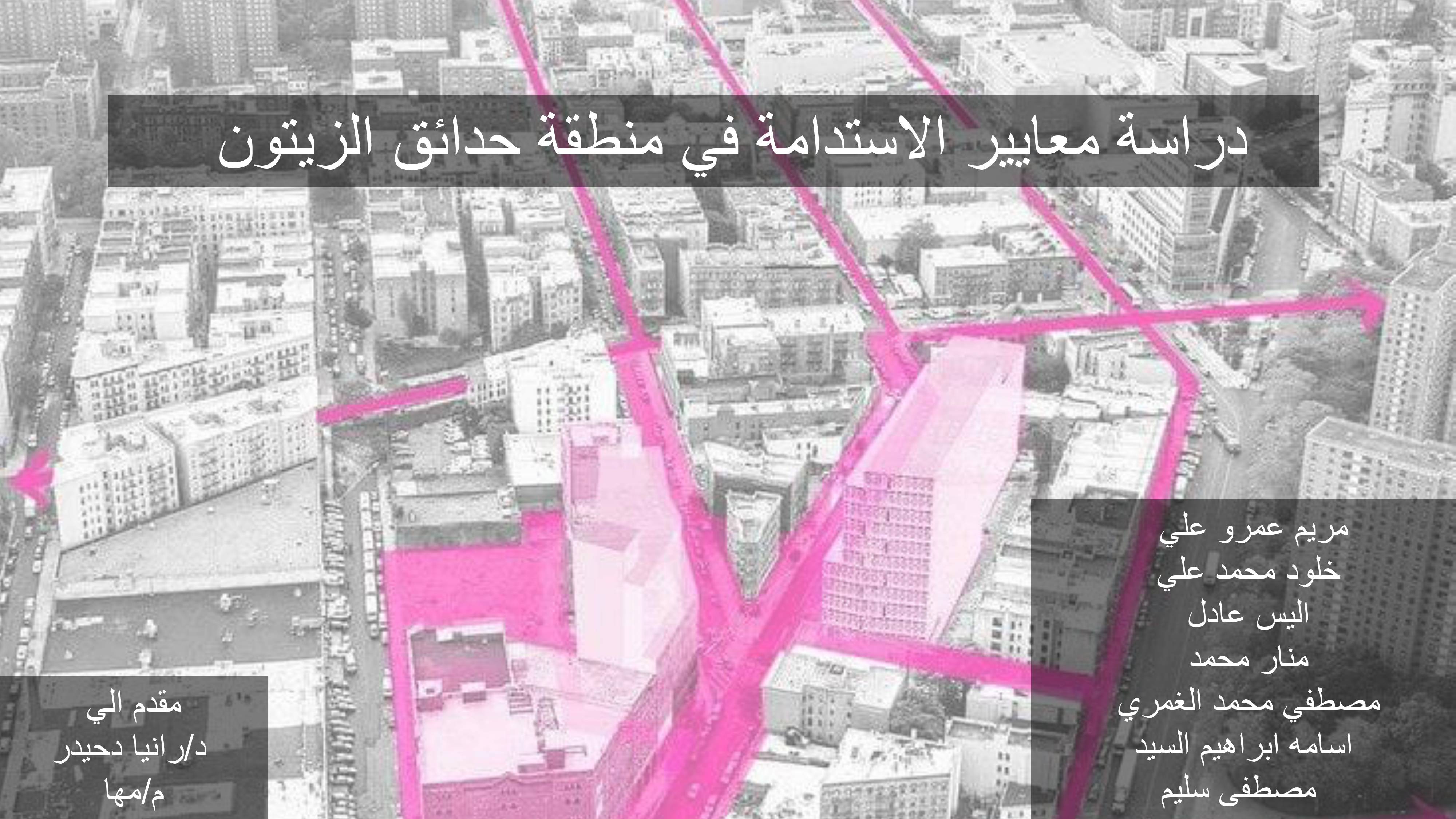 مشروع تحقيق مبادئ التنمية المستدامة بالزيتون القاهرة-1