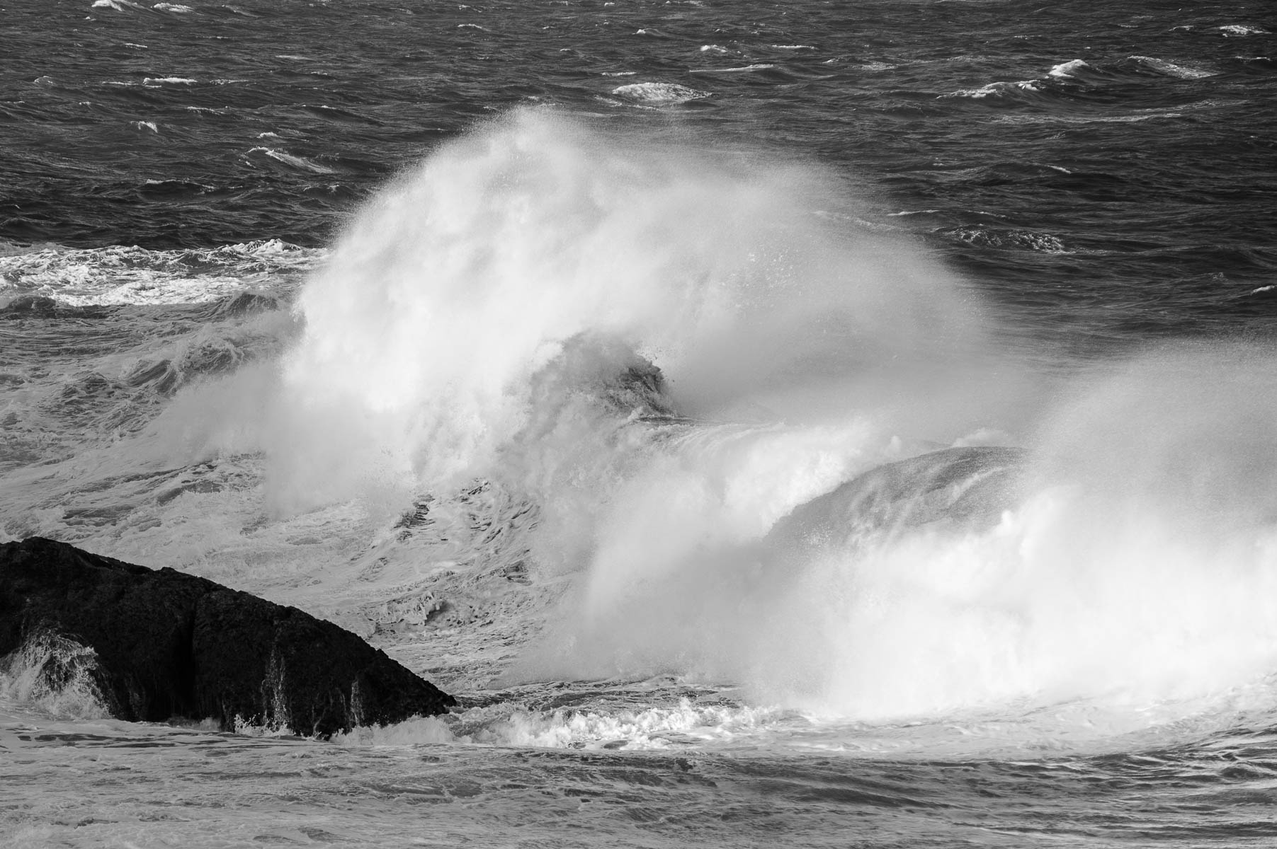 Sea Swell - Biripi Country-6