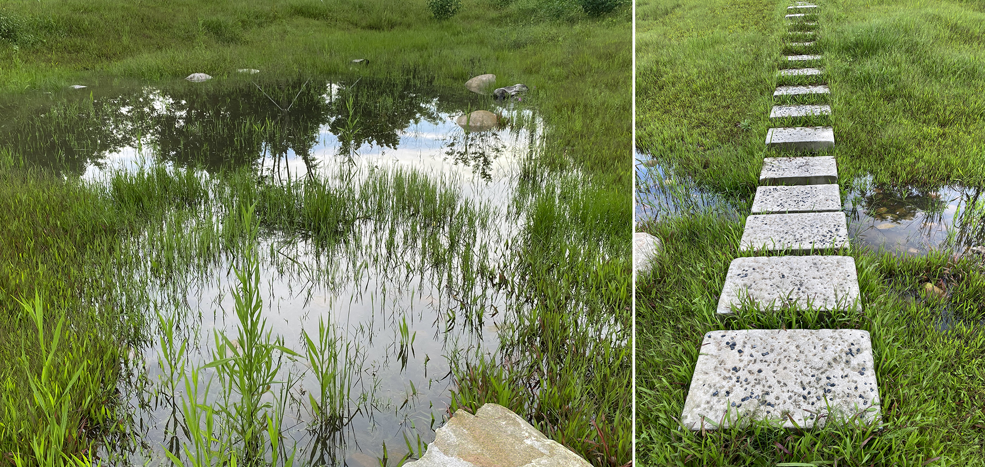 深圳光明虹桥1958生态公园丨中国深圳丨深圳自组空间,深圳市建筑科学研究院股份有限公司-65