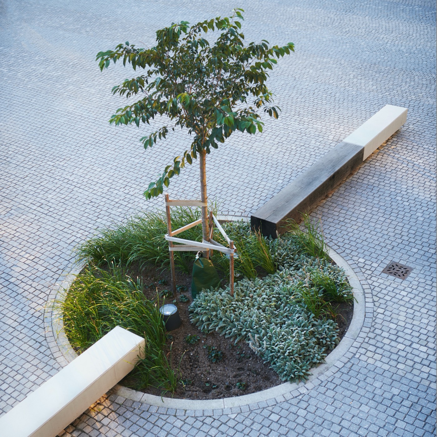 斯德哥尔摩“镜池公园”的精致景观设计-18