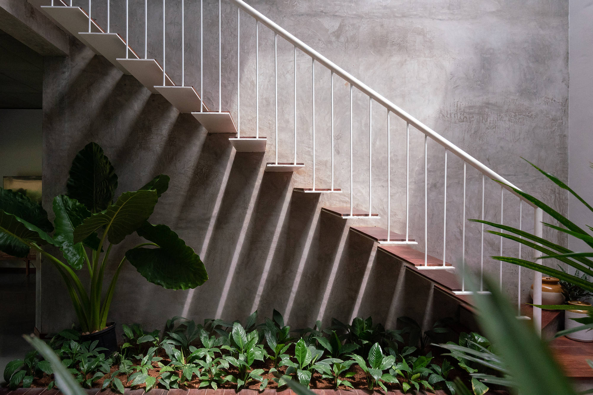 HAVEN 住宅丨印度丨VSP Architects-26