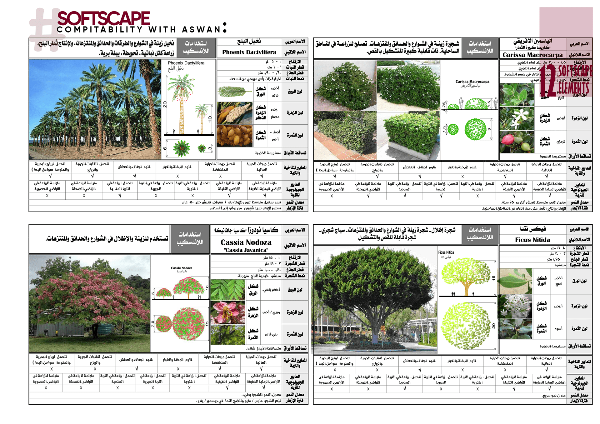 新阿斯旺私立大学医学院丨埃及阿斯旺-34