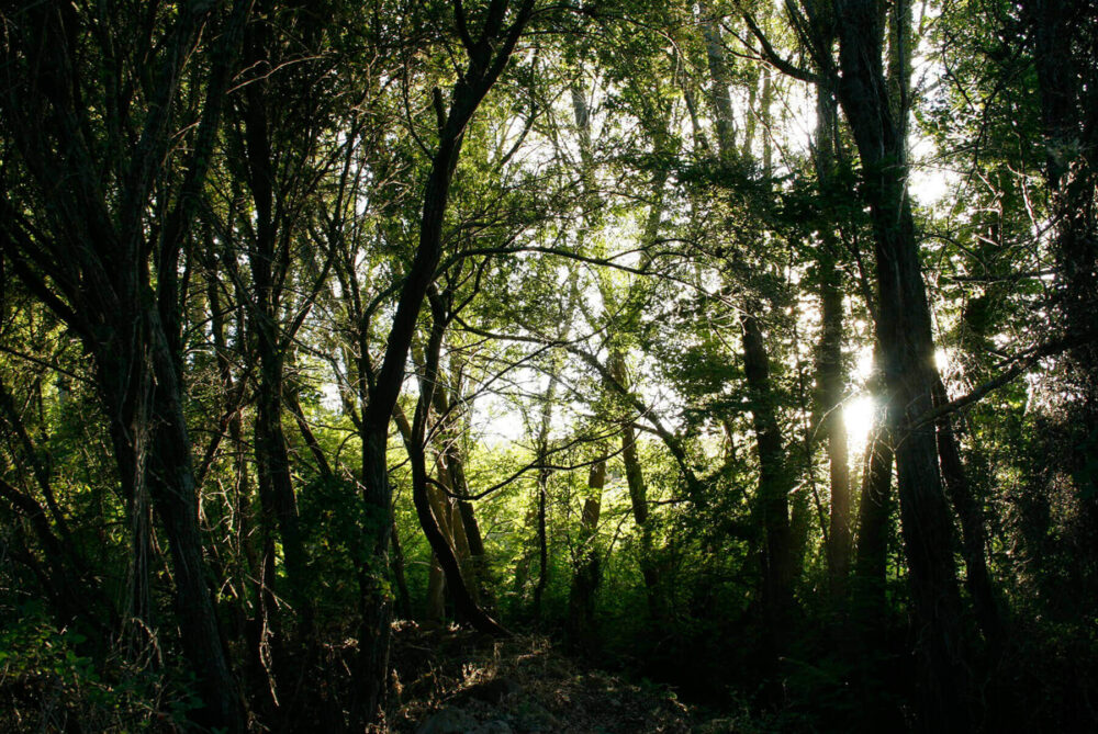 卡萨·约瑟芬别墅

注：La casa在西班牙语里有房子、别墅等意思，这里结合后面的名字推测是别墅名，直接音译Casa Josephine为卡萨·约瑟芬  丨西班牙-20