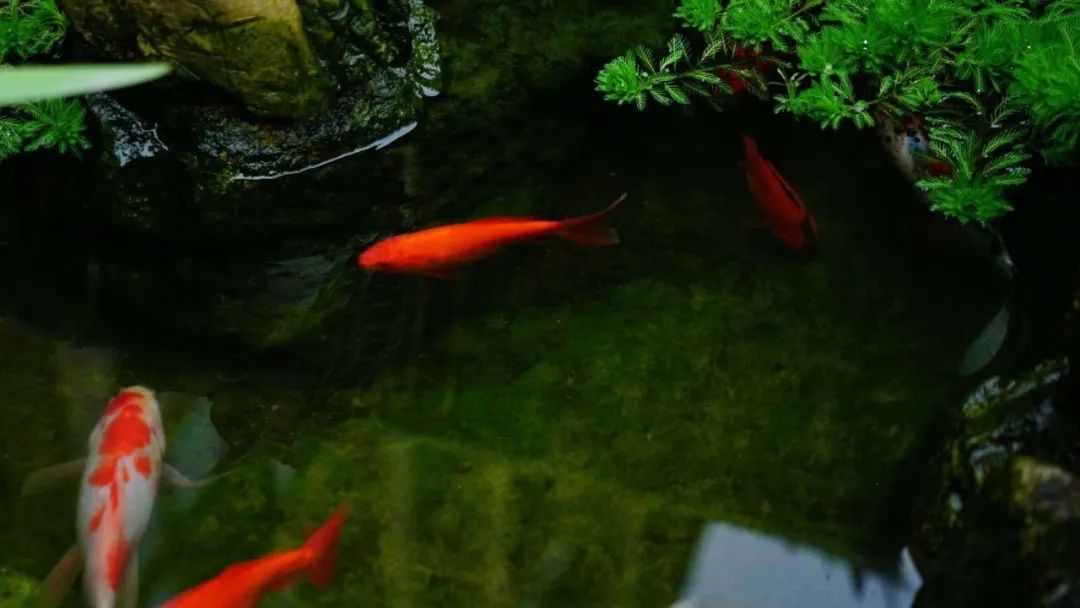 方圆间 | 现代与传统共融的诗意家居-54