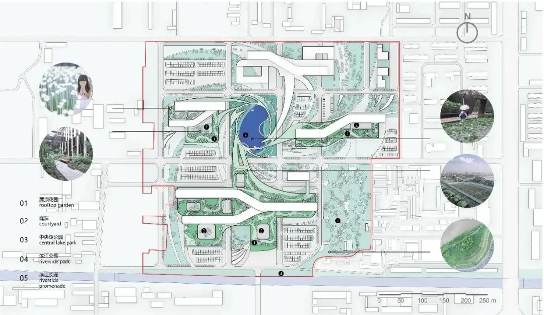 三个医院和一个“大”的梦想丨中国东营-45