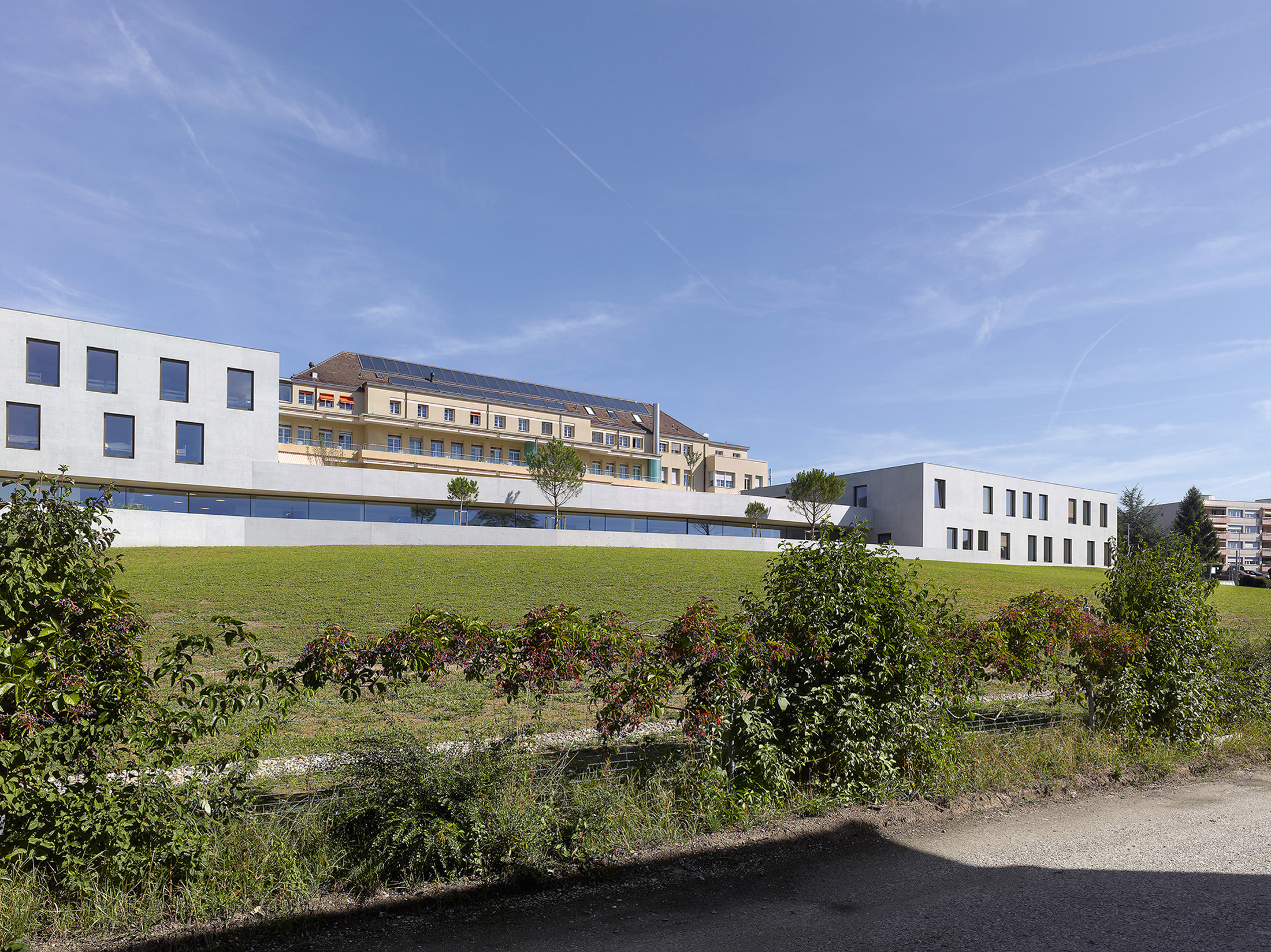 老年人与疗养院计划的整合-33