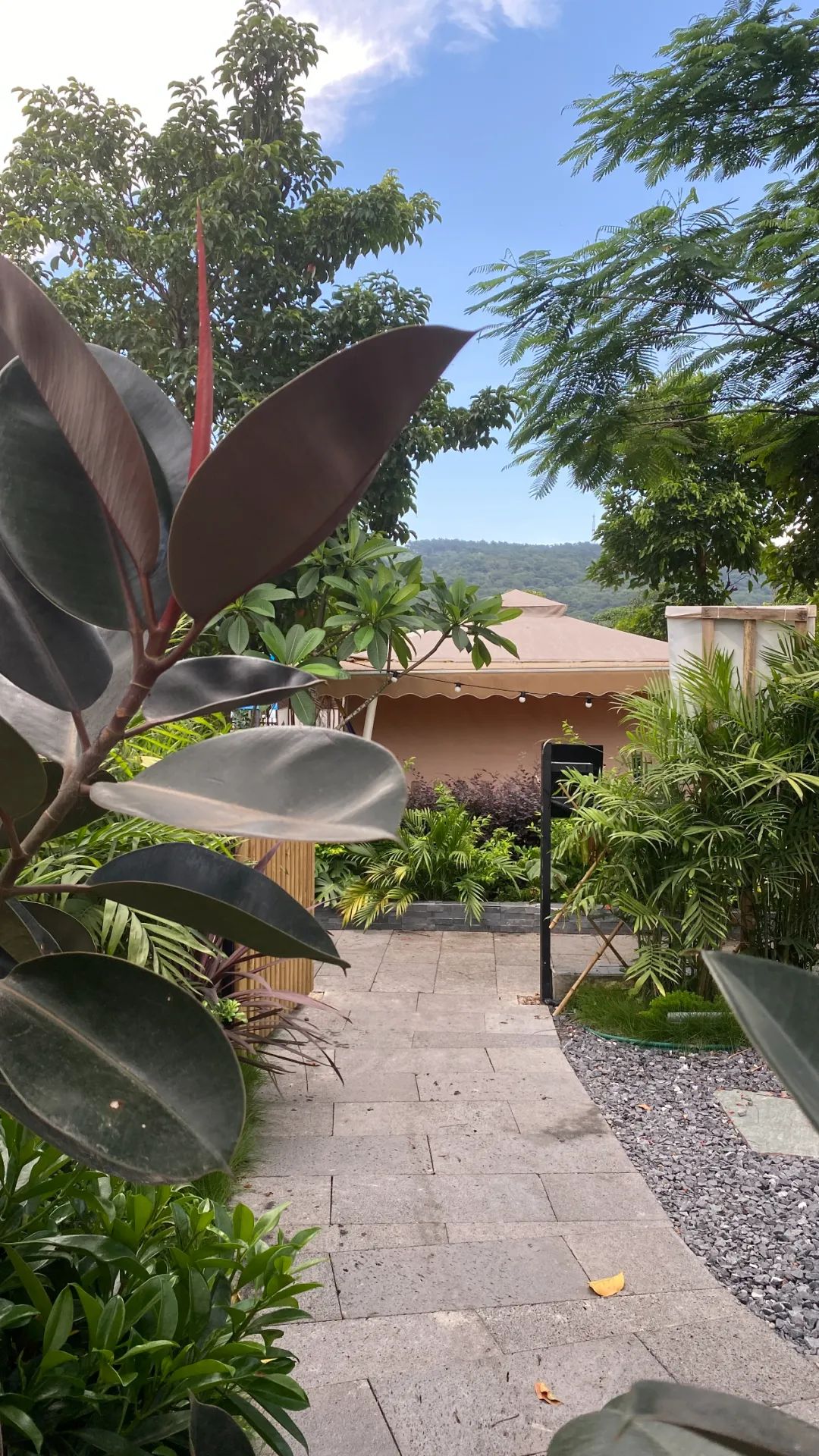 柒颜设计团建活动-16