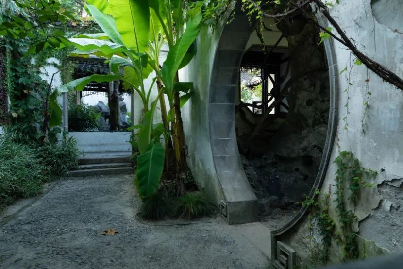 打卡留园，这样拍秒出大片！-37