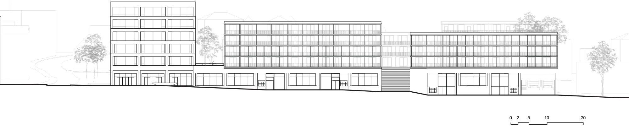 贝宁格地区丨瑞士丨Hosoya Schaefer Architects-10
