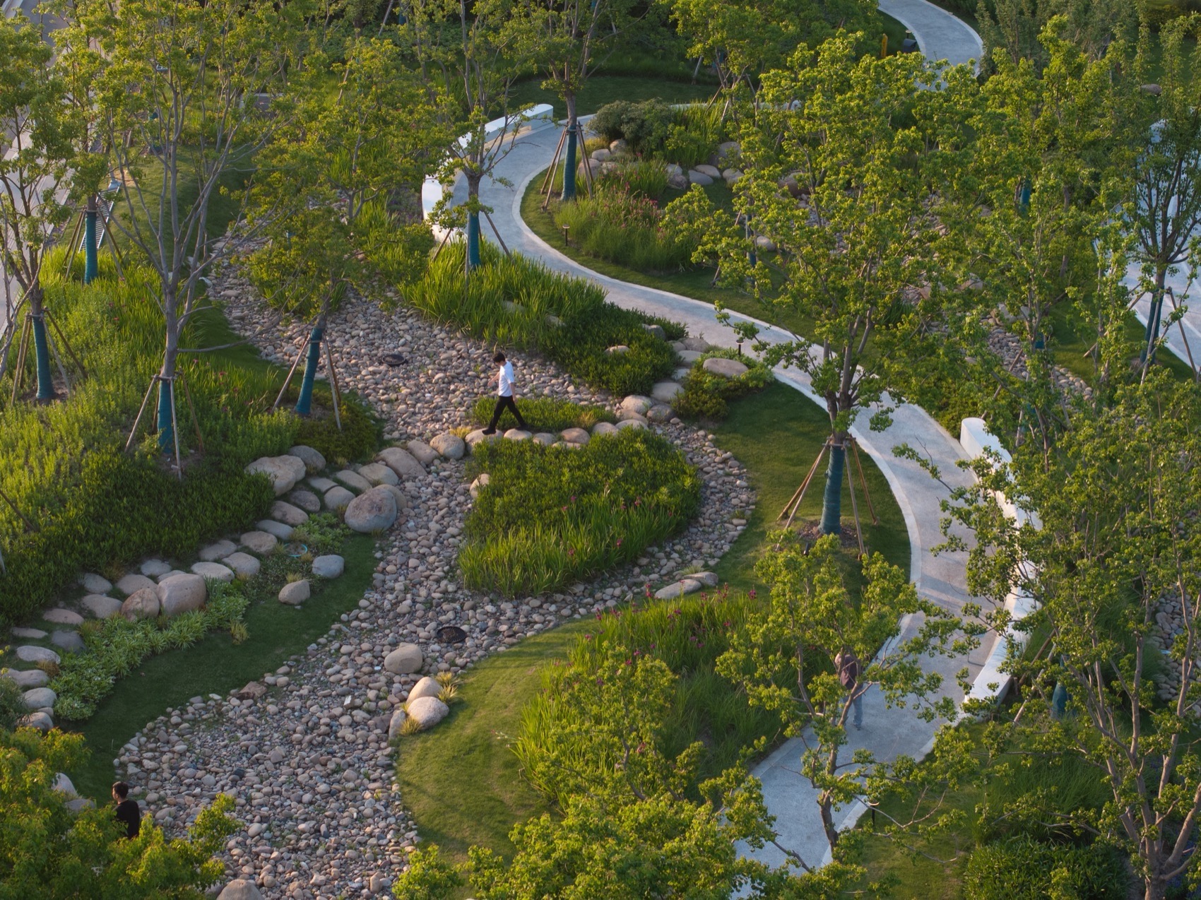 上海金泽镇培雅南路东侧绿地景观设计丨中国上海丨上海联创设计集团股份有限公司景观设计部-106