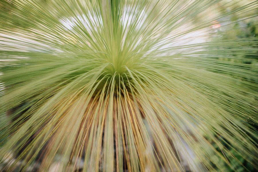 赫斯基森项目  GNK景观设计公司（这里GNK为特定名称，若无更多背景难以更精准翻译，推测一般为专业领域的公司名称，Landscapes可理解为景观设计公司等相关含义） -49