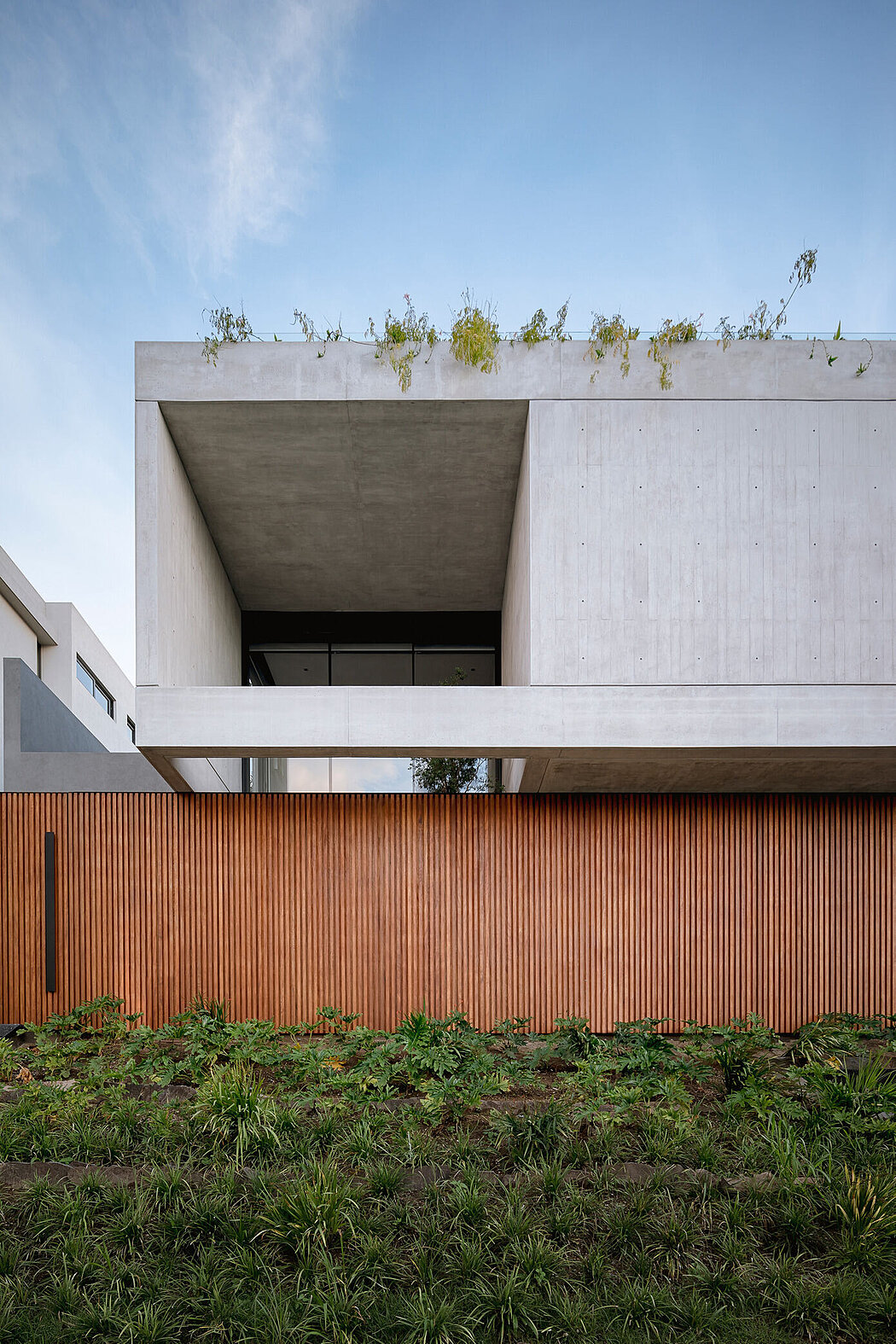 GDL 3 号房屋丨墨西哥丨Ezequiel Farca Studio-10