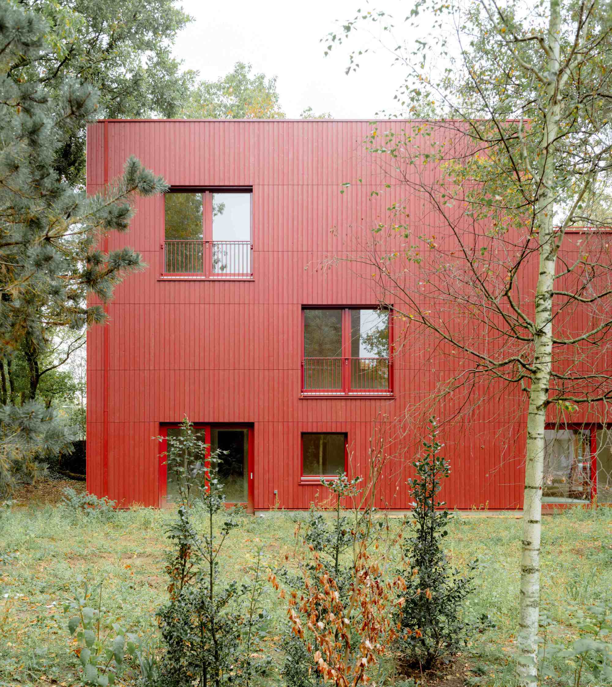 普通木材丨荷兰阿默斯福特丨Space&Matter-33