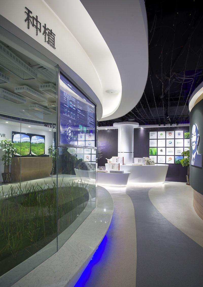 海水稻科技展厅,现代科技与传统水稻文化的完美融合,农业展厅-9
