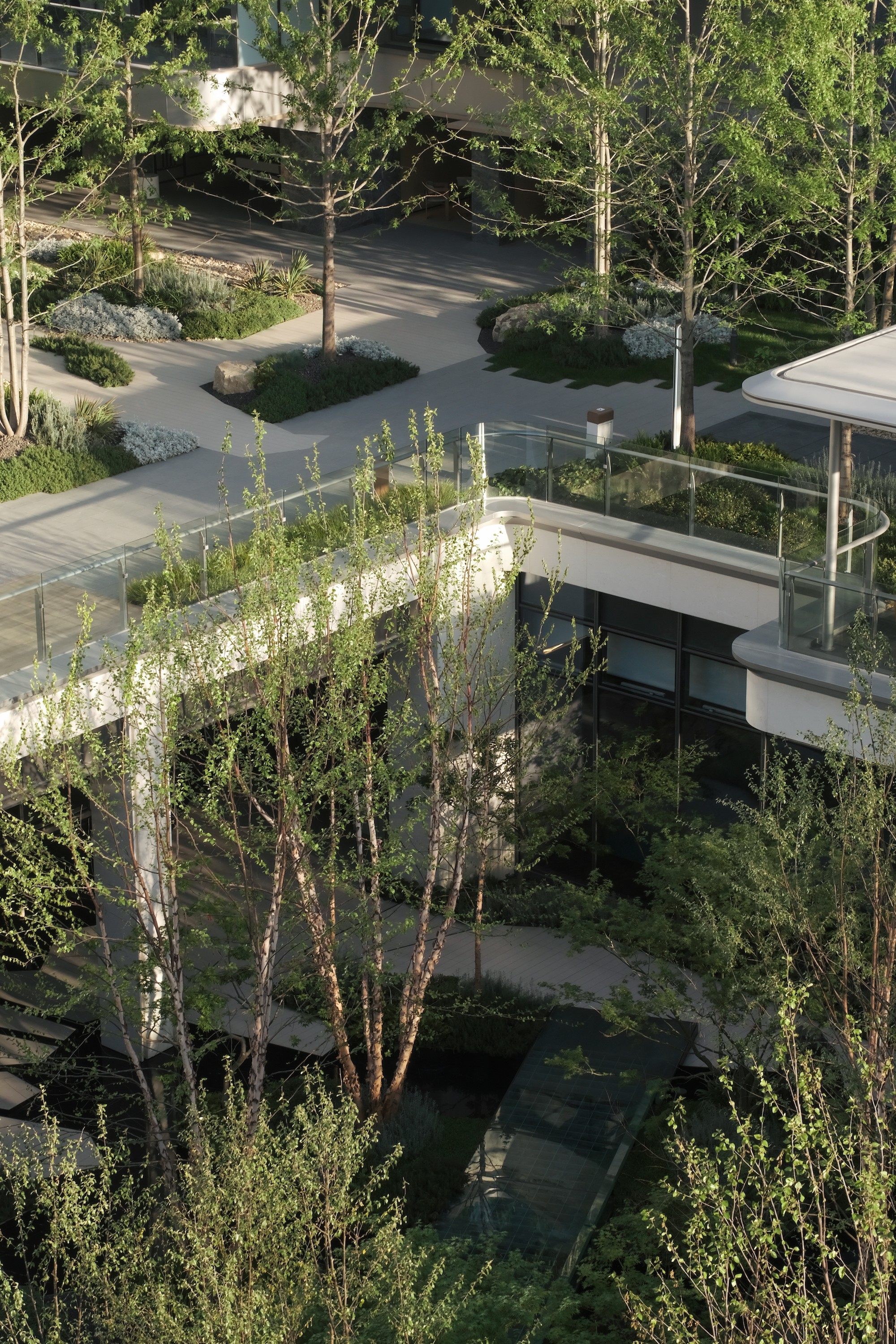 苏州蠡棠森屿示范区丨MIND 迈德景观-2