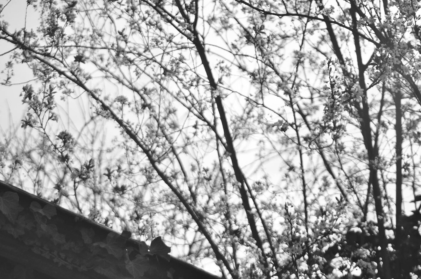 FR BE | STREET PHOTOGRAPHY-6