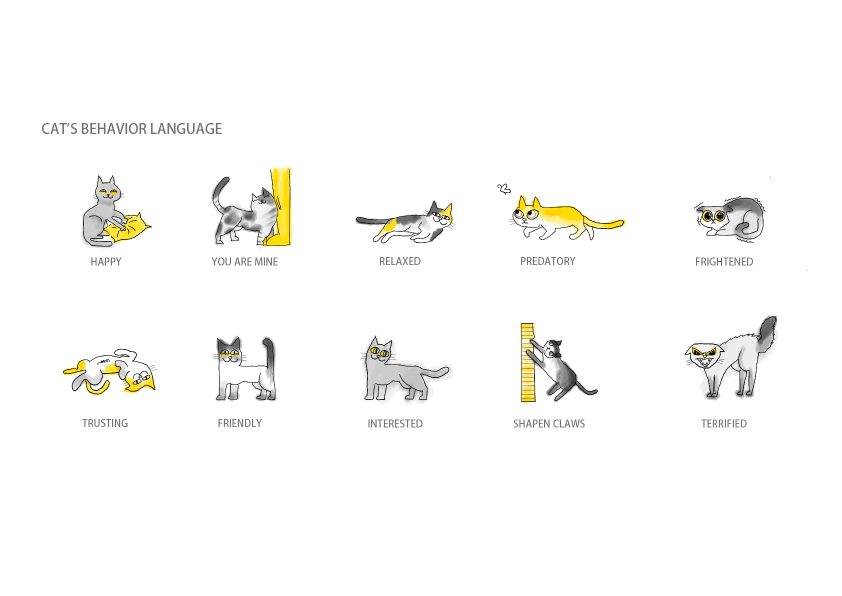 来自铲屎官的宠爱,一个高颜值人气猫咖-42
