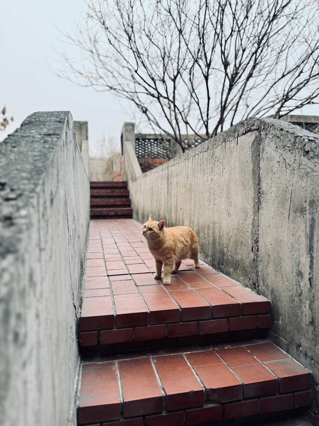 红砖美术馆手机摄影作品,北京 / Kun-45