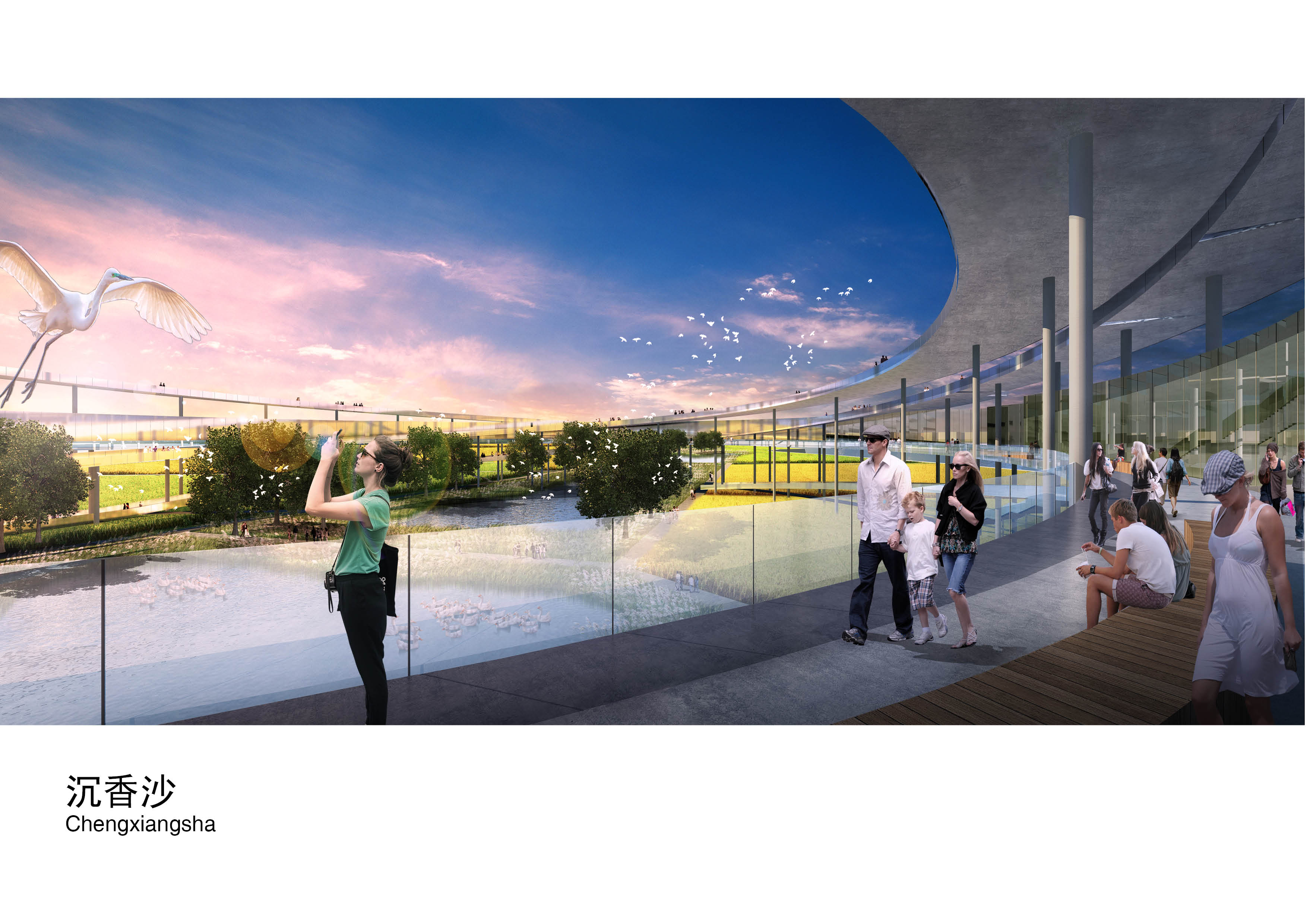 广州江心岛地标设计提案丨中国广州-14