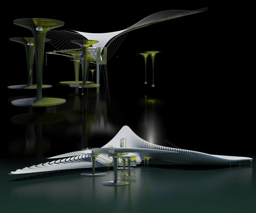 丨巴基斯坦丨Margot Krasojević Architecture-35