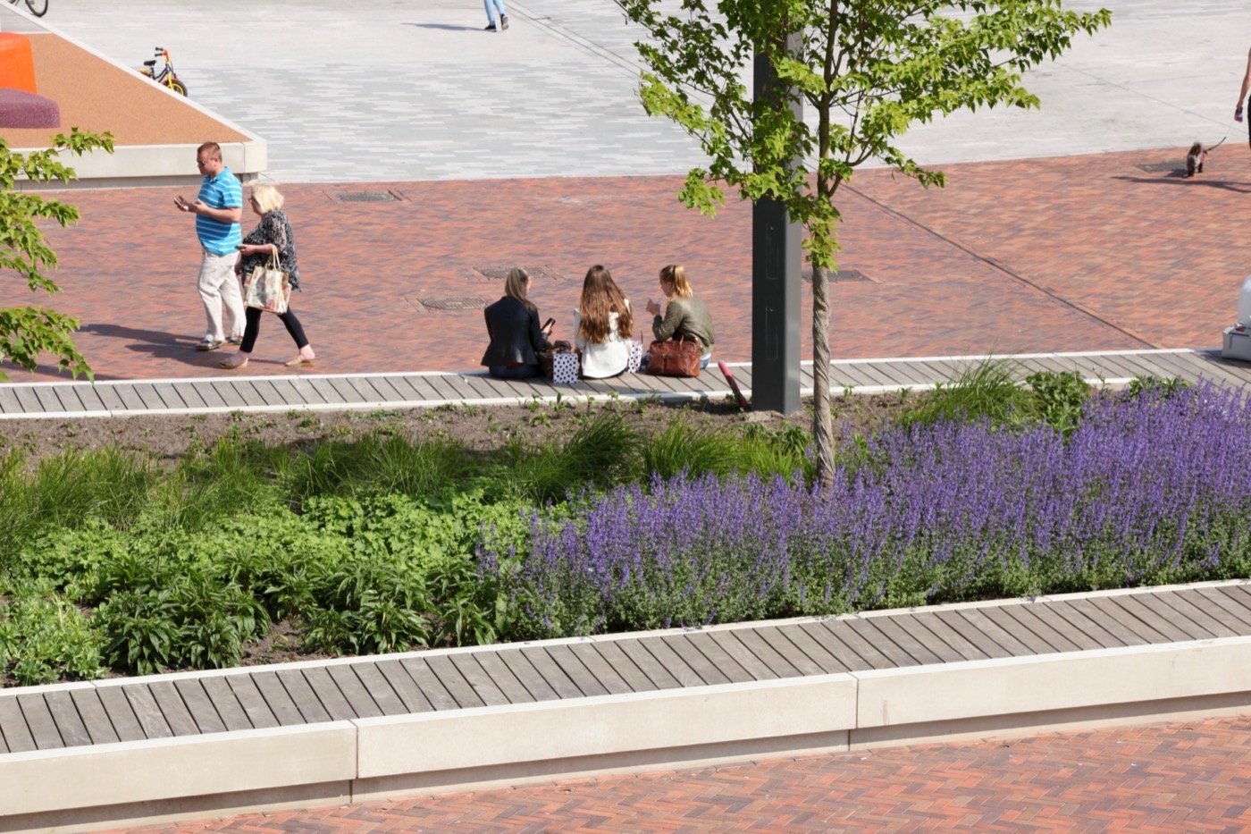 荷兰城镇广场丨ipv Delft-9