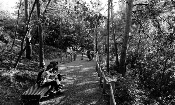 Шагни за горизонт:公园及滨水区域翻新丨俄罗斯丨Orchestra Design,巴什基尔城市与乡村发展研究所等-29