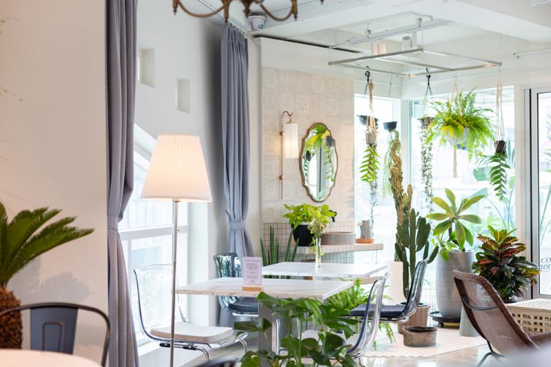 25 平米植物工作室，自然风格与咖啡香的完美融合-5