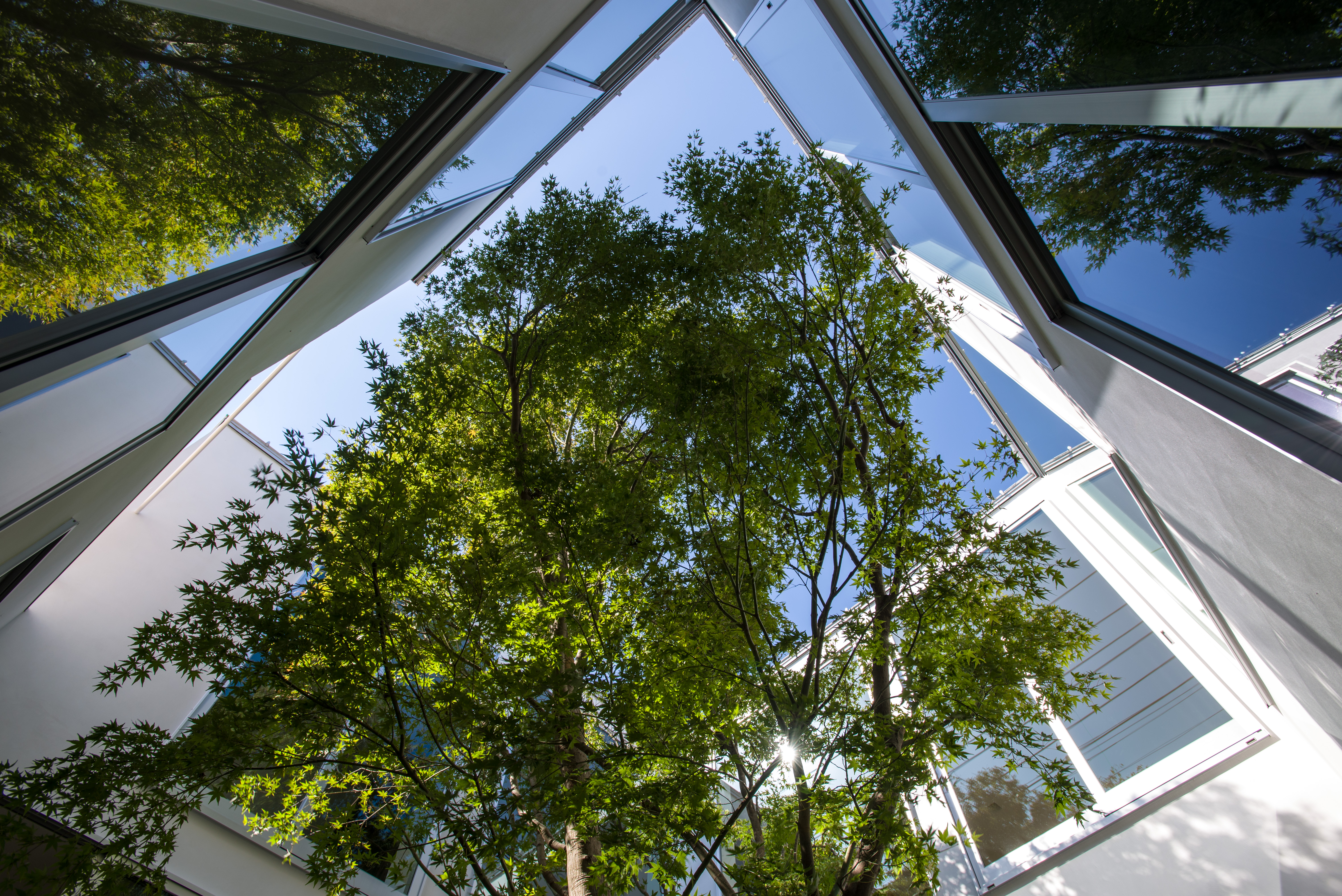 丨日本千叶丨Florian Busch Architects-3