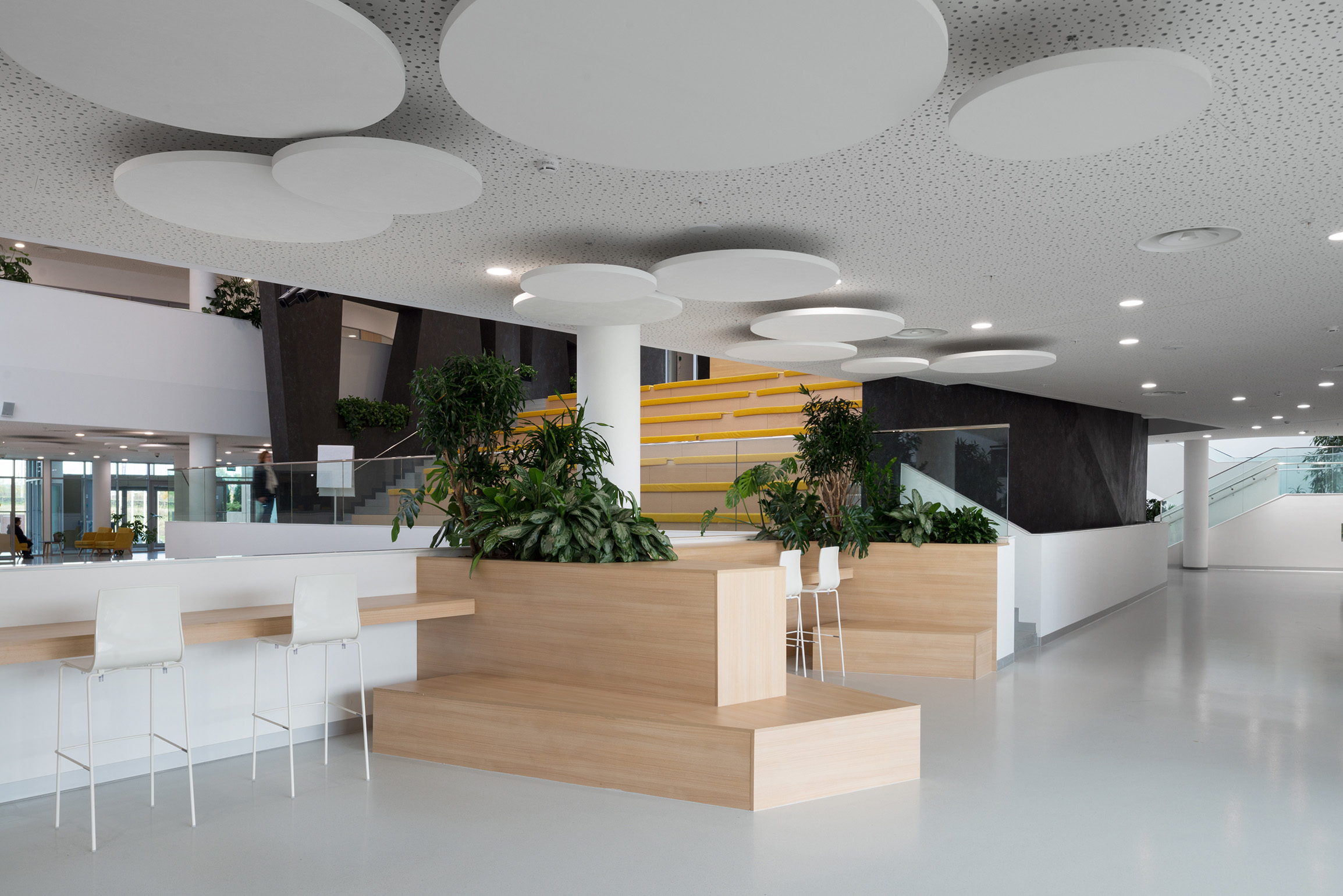 莫斯科 Letovo 学校校园——建筑与室内设计融合的教育乌托邦-15