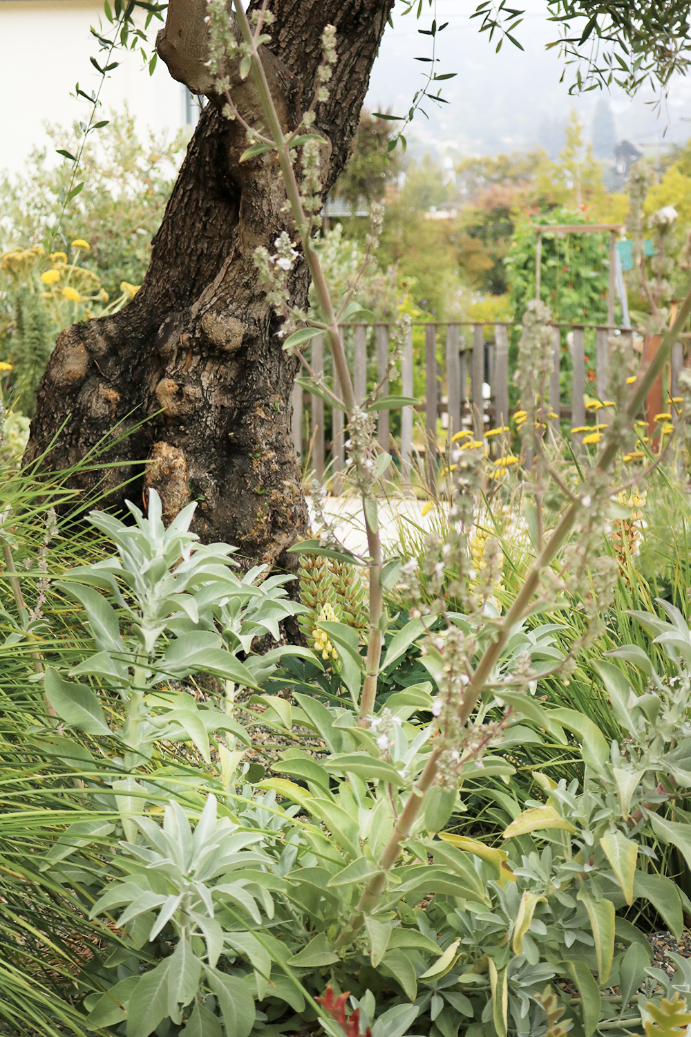 身边风景 | Soft Studio-96