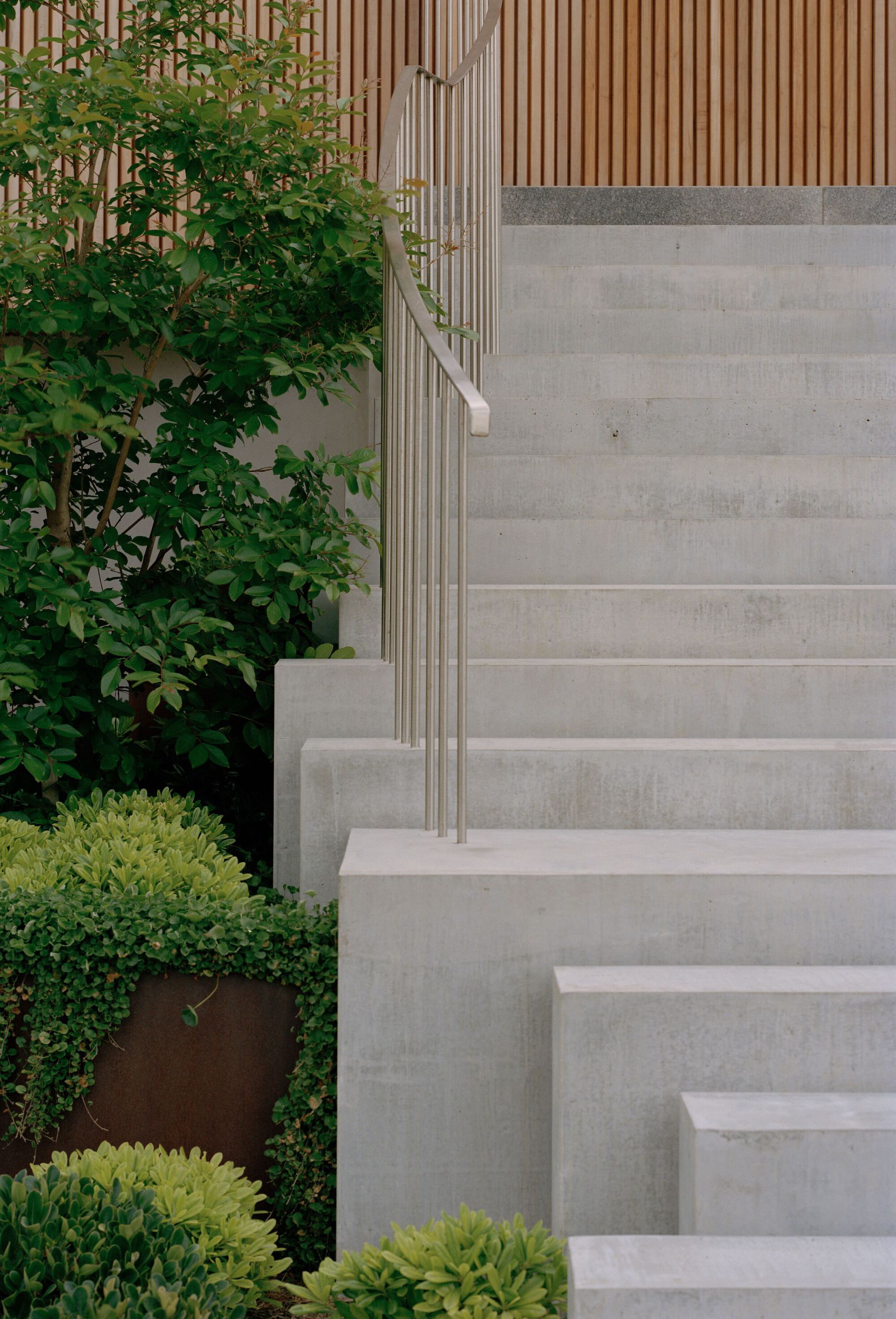 内皮恩角屋丨澳大利亚丨Pandolfini Architects-38