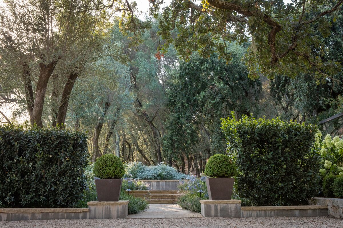 加州索诺马,现代经典庄园 / Lucas & Lucas-2