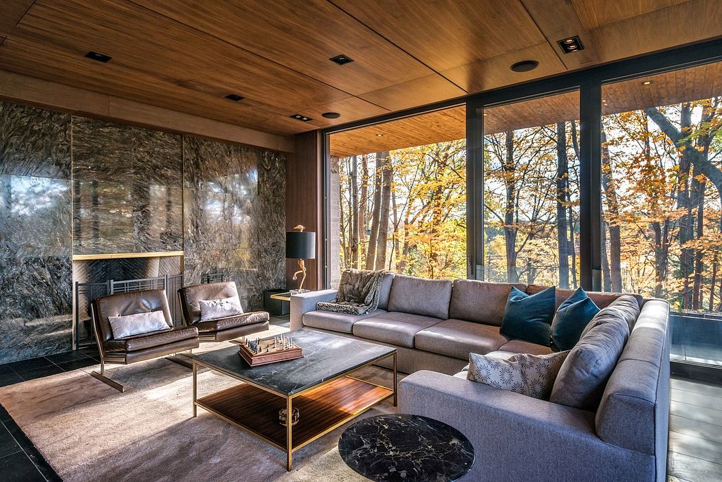 林地宅邸丨加拿大多伦多丨Frankfranco Architects-1