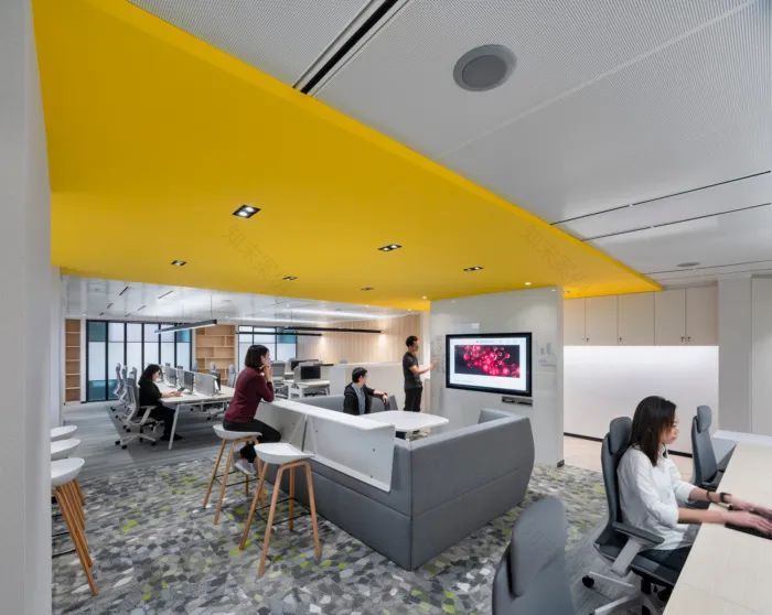 全球生物制药公司,AstraZeneca台北办公室设计-24