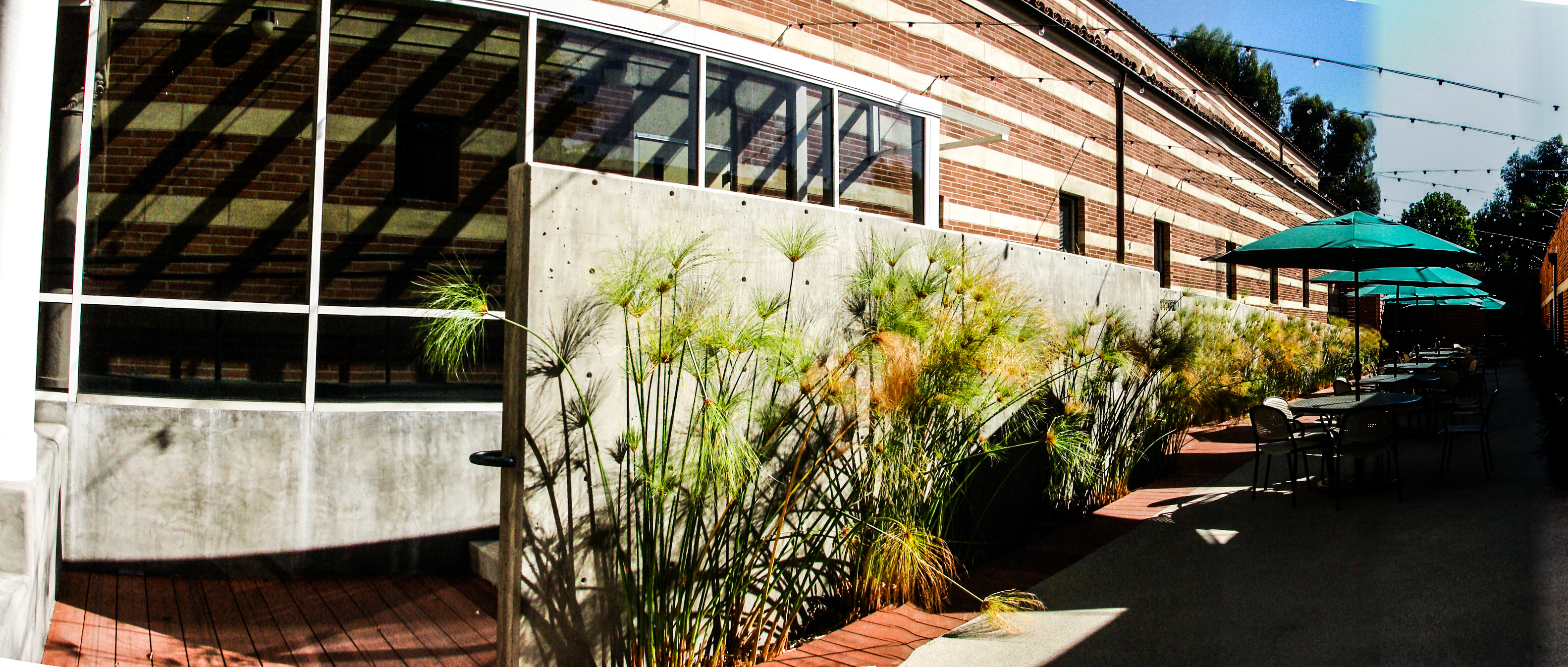 加州校园创意户外 courtyard-16